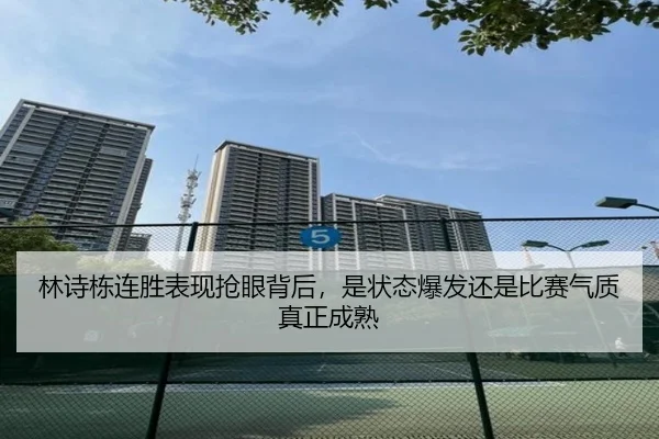 林诗栋连胜表现抢眼背后，是状态爆发还是比赛气质真正成熟